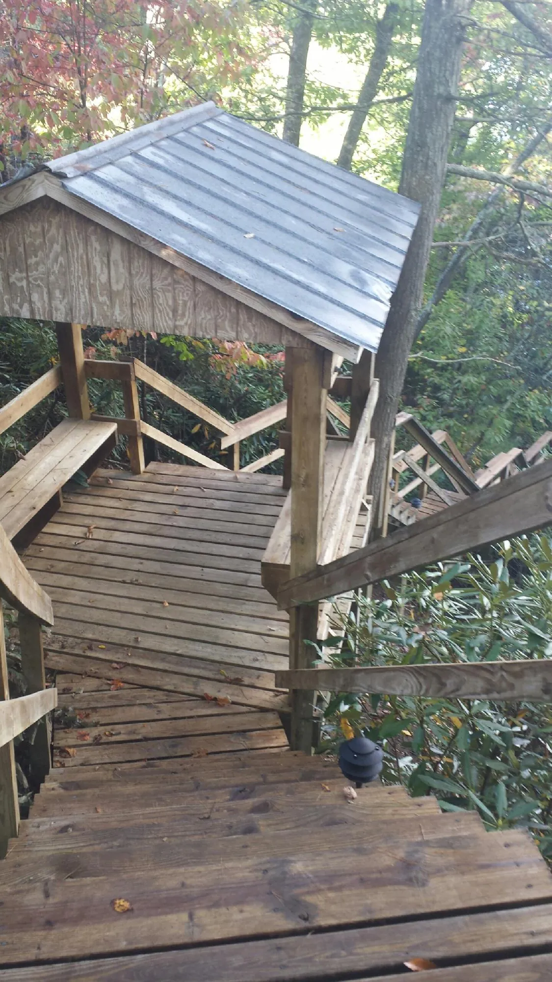 Metal roofed shelter over wooden steps on a wooded walkway — Skylight Repair & Installation work by our crew in Hickory Valley